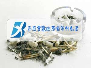 春庭雪歌曲原唱等什么君