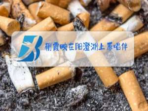 朝霞映在阳澄湖上原唱伴奏E调