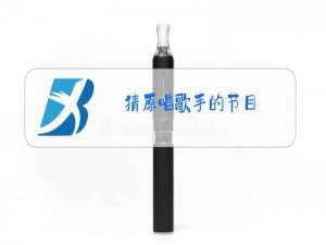 猜原唱歌手的节目