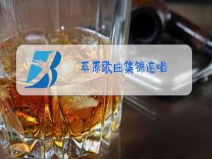 草原歌曲集锦连唱