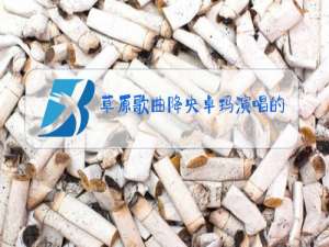 草原歌曲降央卓玛演唱的天边歌词