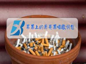 草原上的月亮原唱歌词包银延