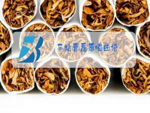 车站曹磊原唱曲谱