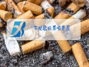 车站歌曲原唱曹磊