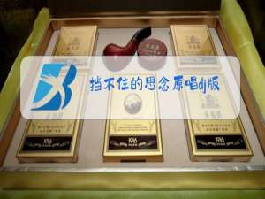 挡不住的思念原唱dj版伴奏