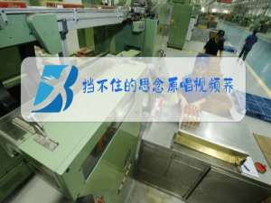 挡不住的思念原唱视频荞麦花