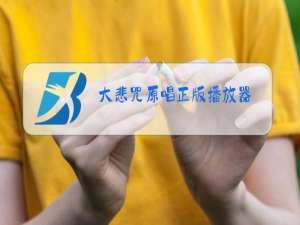 大悲咒原唱正版播放器