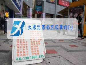 大悲咒原唱正版龚玥DJ版