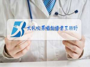 大风吹原唱刘惜君王赫野小苹果