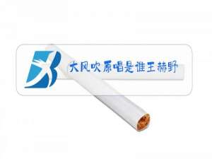 大风吹原唱是谁王赫野