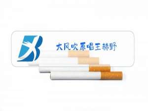 大风吹原唱王赫野