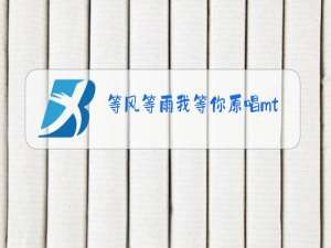 等风等雨我等你原唱mtv