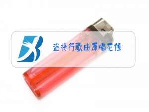 盗将行歌曲原唱花僮