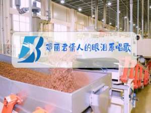 邓丽君情人的眼泪原唱歌曲