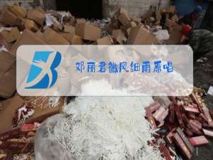 邓丽君微风细雨原唱