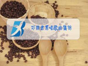 邓丽君原唱歌曲集锦