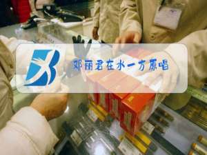 邓丽君在水一方原唱