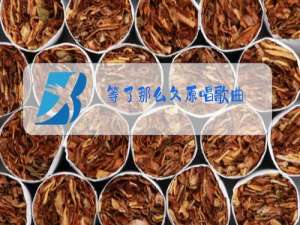 等了那么久原唱歌曲