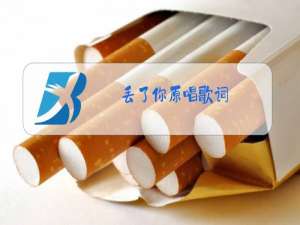 丢了你原唱歌词