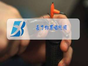 丢了你原唱视频