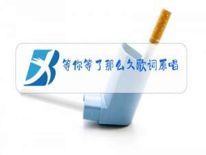 等你等了那么久歌词原唱视频播放?