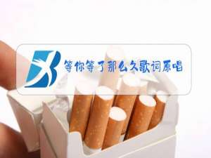 等你等了那么久歌词原唱版