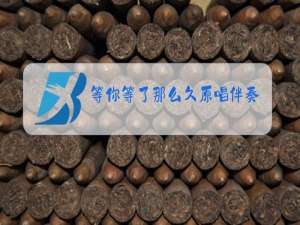 等你等了那么久原唱伴奏视频