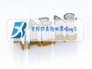 等你归来程响原唱mp3