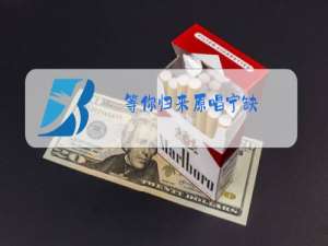 等你归来原唱宁缺