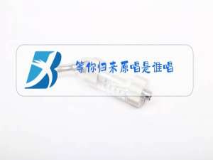 等你归来原唱是谁唱