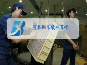 等你回家歌曲原唱