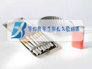 等你我等了那么久歌曲原唱简谱