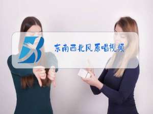 东南西北风原唱视频