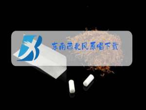 东南西北风原唱下载