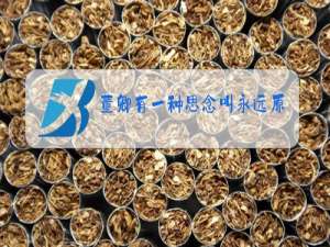 董卿有一种思念叫永远原唱