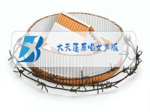 大天蓬原唱女声版