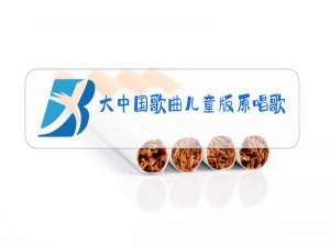 大中国歌曲儿童版原唱歌词
