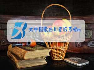 大中国歌曲儿童版原唱mp3