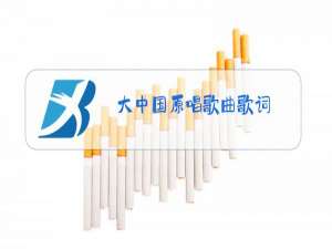 大中国原唱歌曲歌词