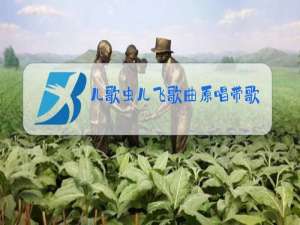 儿歌虫儿飞歌曲原唱带歌词