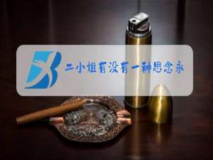 二小姐有没有一种思念永不疲惫原唱图片