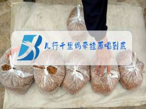 儿行千里妈牵挂原唱到底是谁