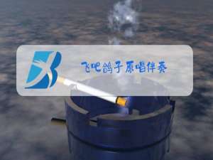 飞吧鸽子原唱伴奏