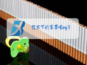 放不下的家原唱mp3