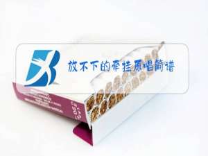 放不下的牵挂原唱简谱