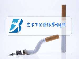 放不下的情缘原唱dj试听