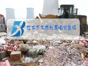 放不下又想他原唱完整版歌词