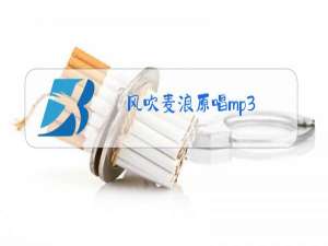 风吹麦浪原唱mp3