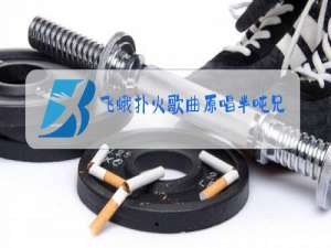 飞蛾扑火歌曲原唱半吨兄弟