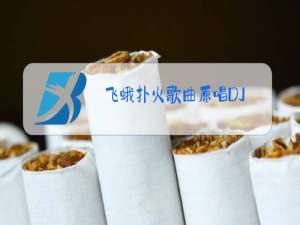 飞蛾扑火歌曲原唱DJ